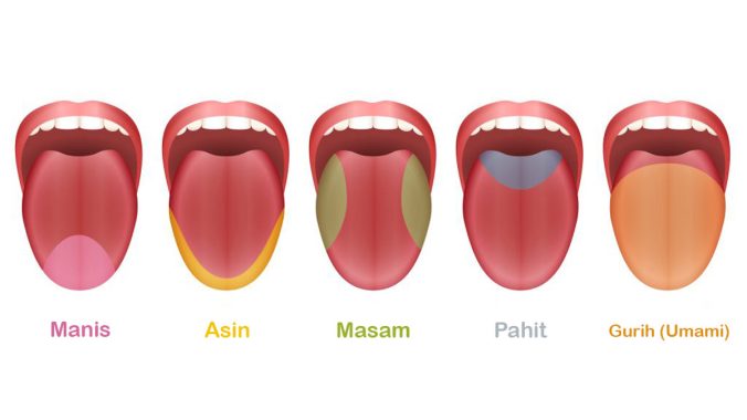 Area perasa lidah